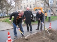 Schreiner spenden Stadtbaum