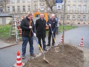 Schreiner-Innung Fürth spendet Stadtbaum