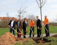 Schreiner-innung Fürth spendet Baum Ammerndorf Landkreis Fürth